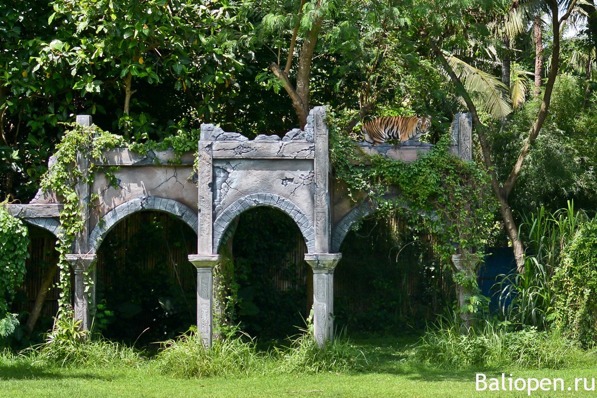 Бали Сафари Парк наш обзор и отзывы.