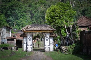 Тенганан – традиционная деревня истинных балийцев Бали-Ага.