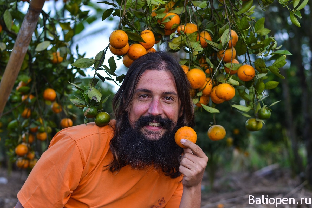 Оранжевое настроение острова Бали