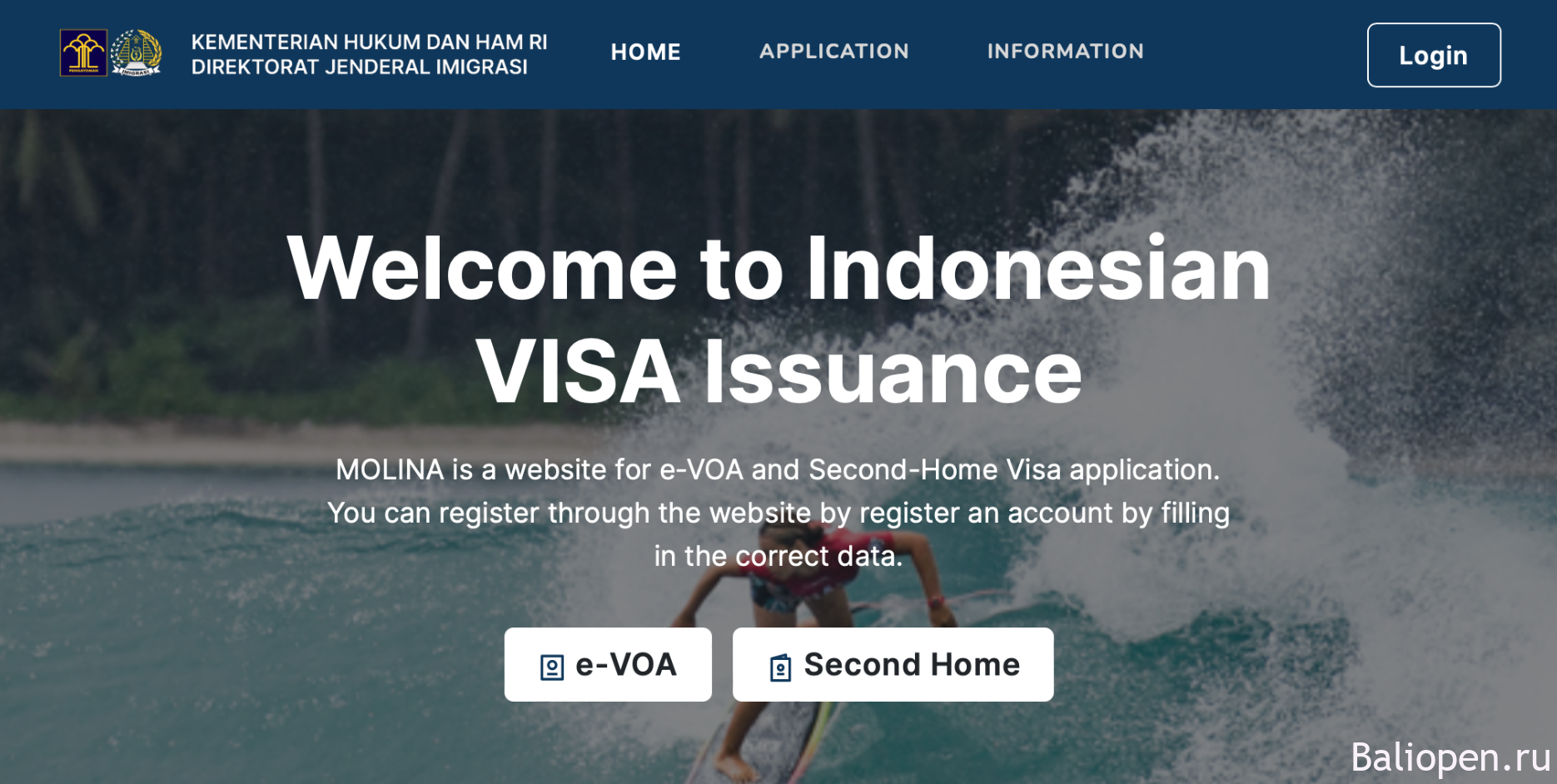 Как получить электронную визу на Бали