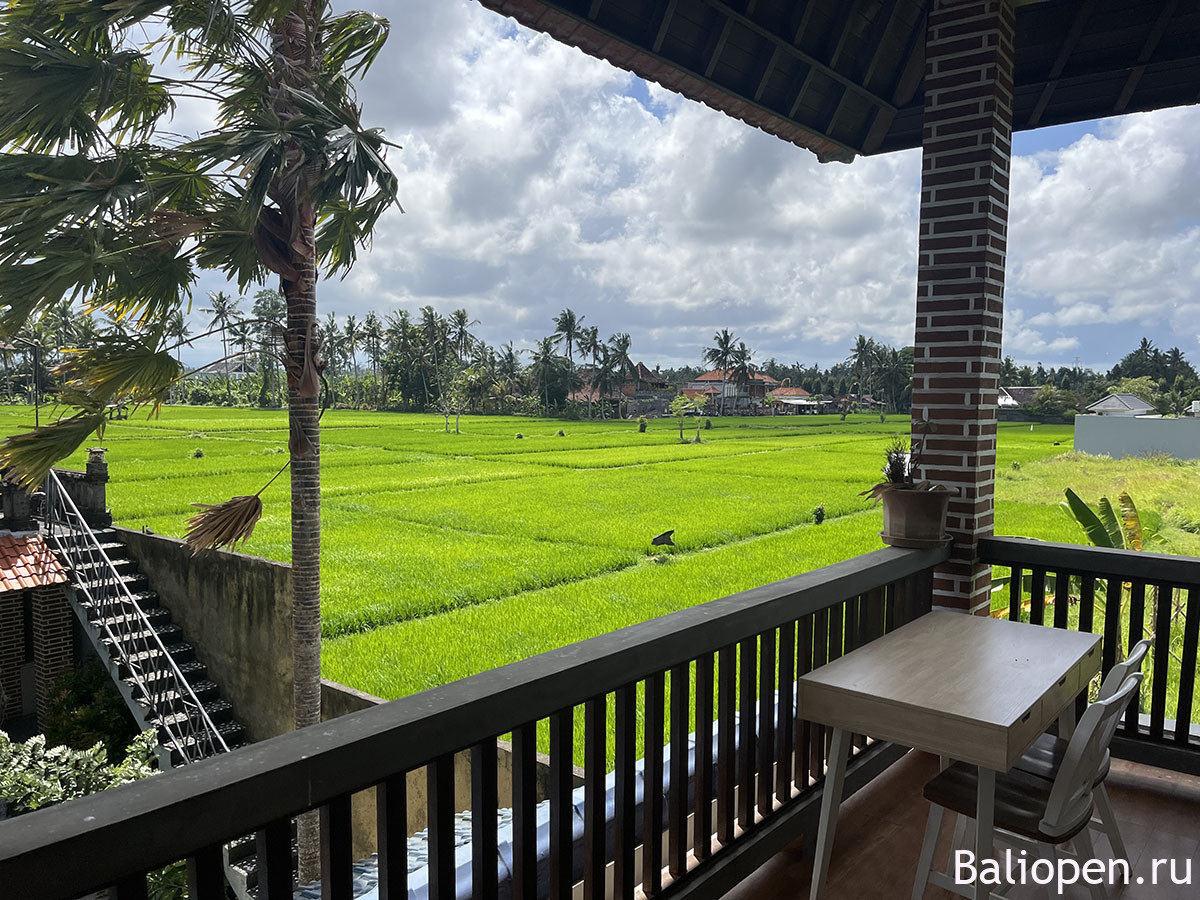 Поиск жилья на Бали. Ищем виллу в Убуде через новый сервис.